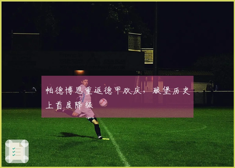 帕德博恩重返德甲欢庆，狼堡历史上首度降级